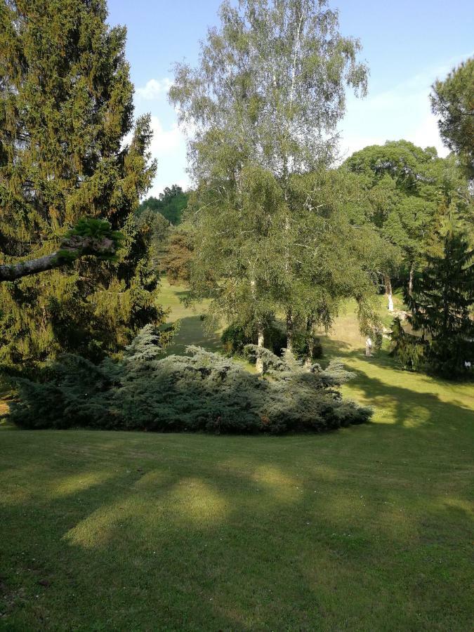 מלון Lamothe-Montravel Le Jardin D Eau מראה חיצוני תמונה